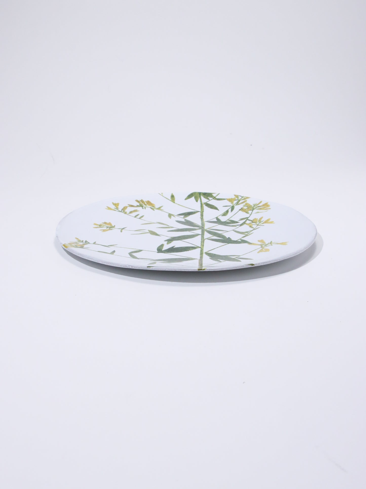 John Derian Genista プレート 24cm