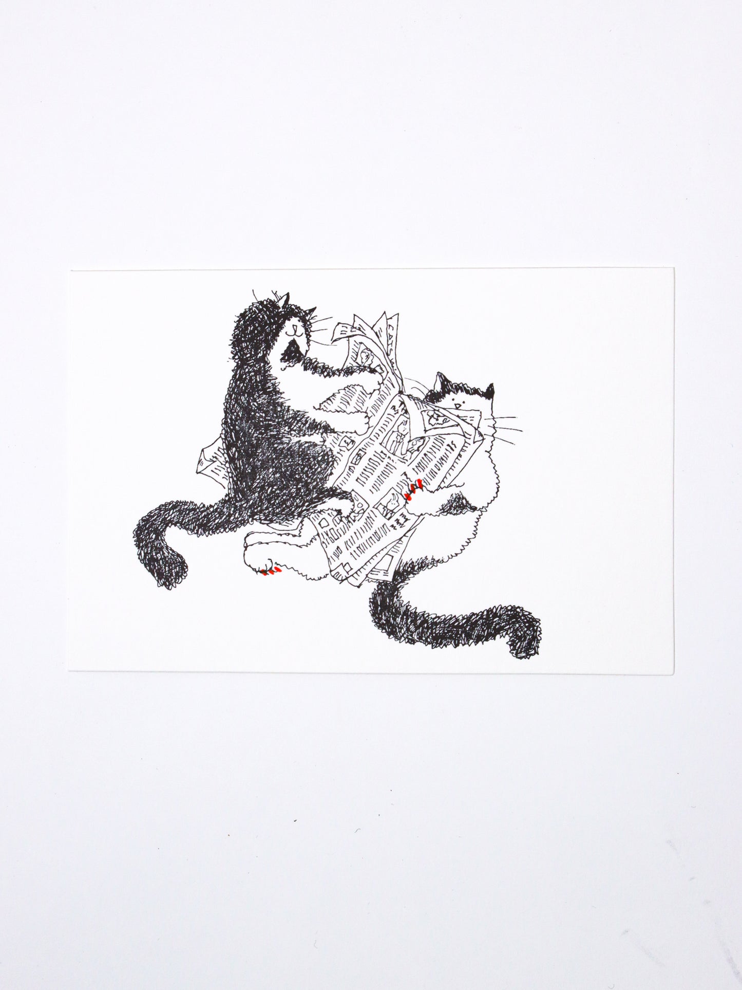 Grace Coddington カードセット10枚入り
