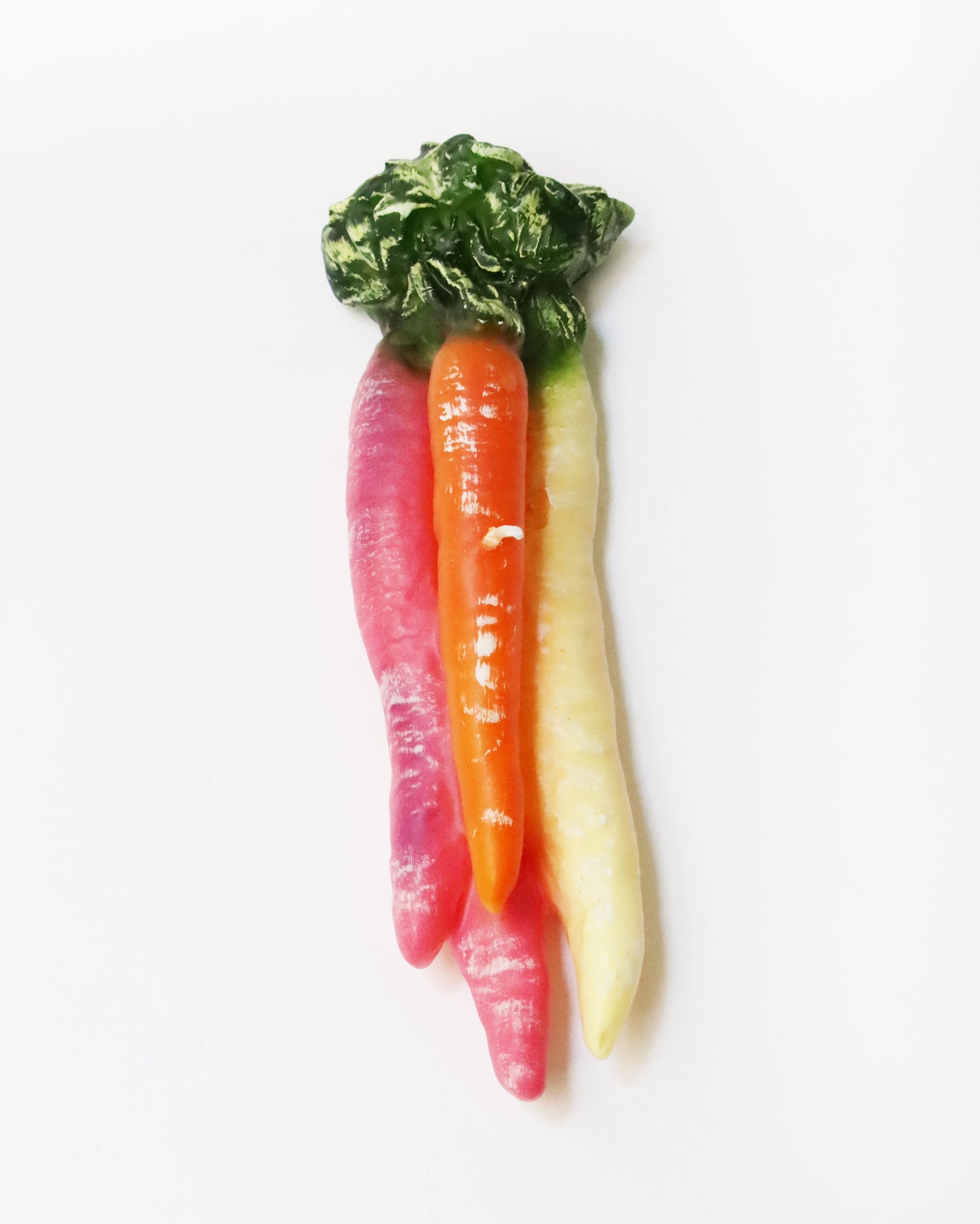 <CERERIA INTRONA> キャンドル CAROTE