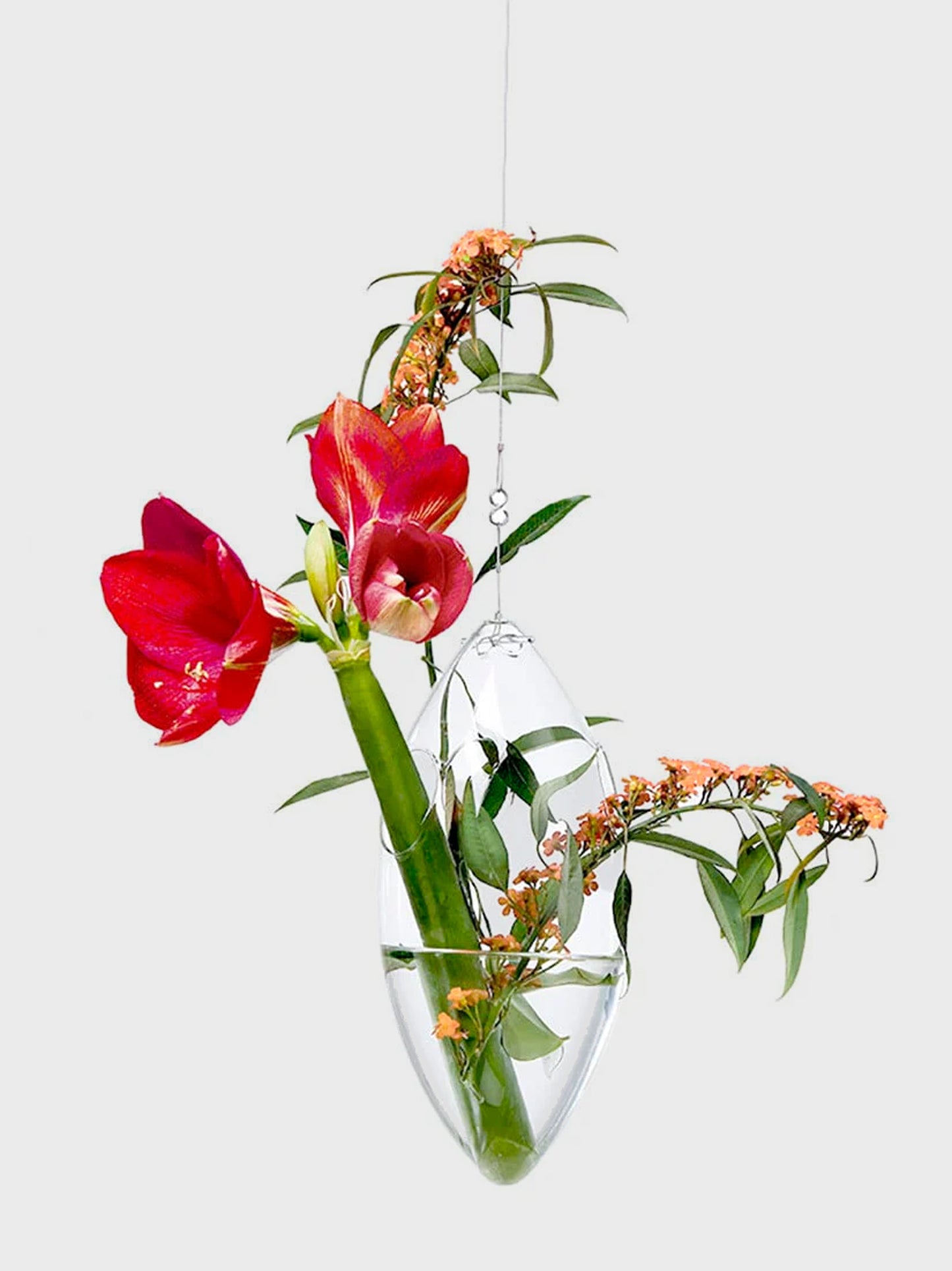 なまけものの花器