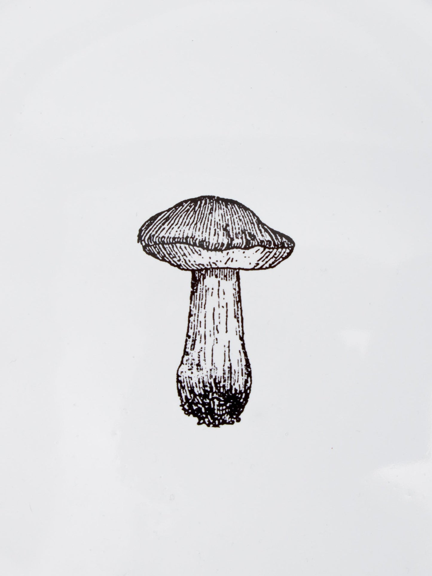 ブレックファストプレート Mushroom A