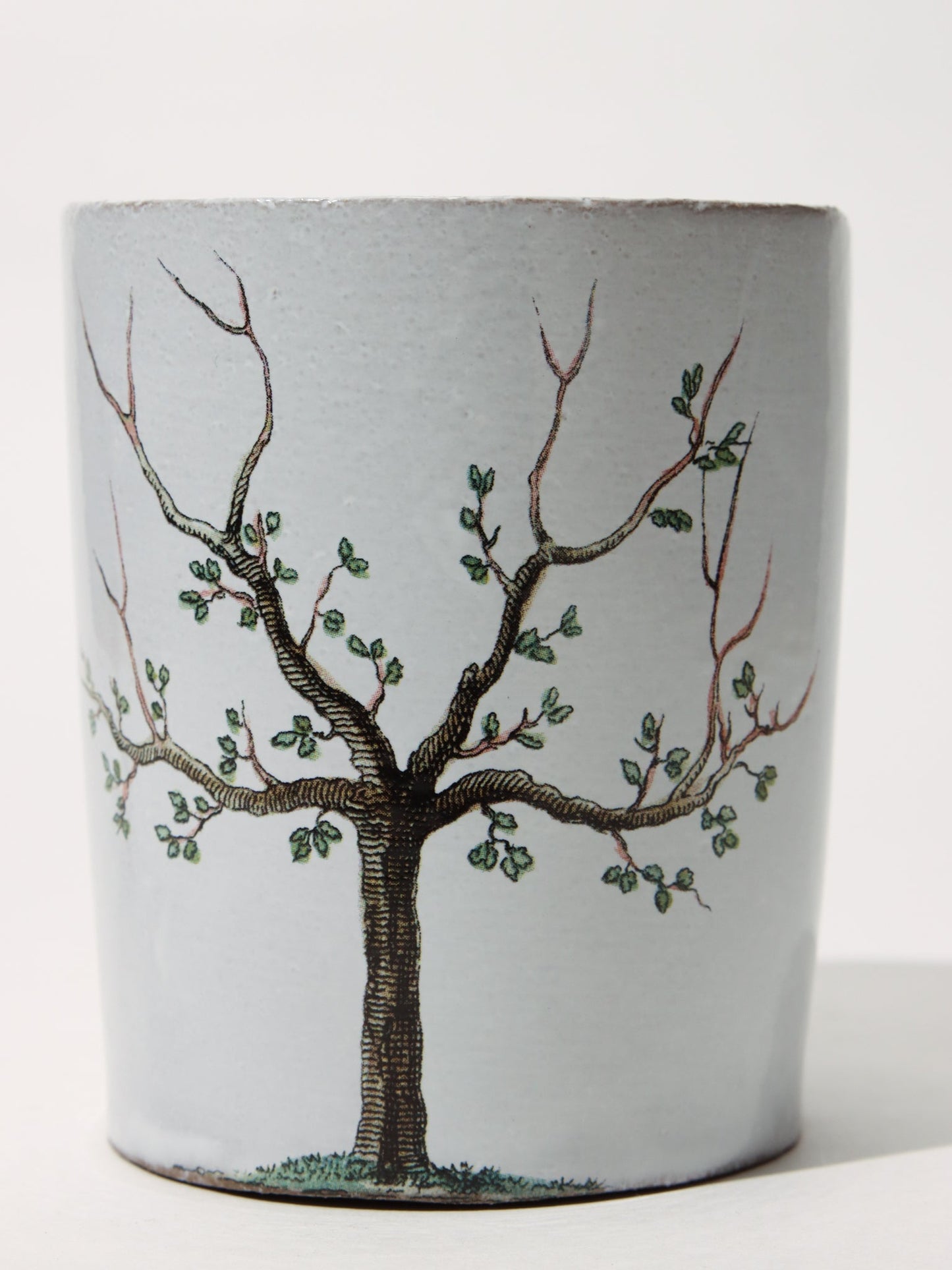 John Derian Pear Tree カップ