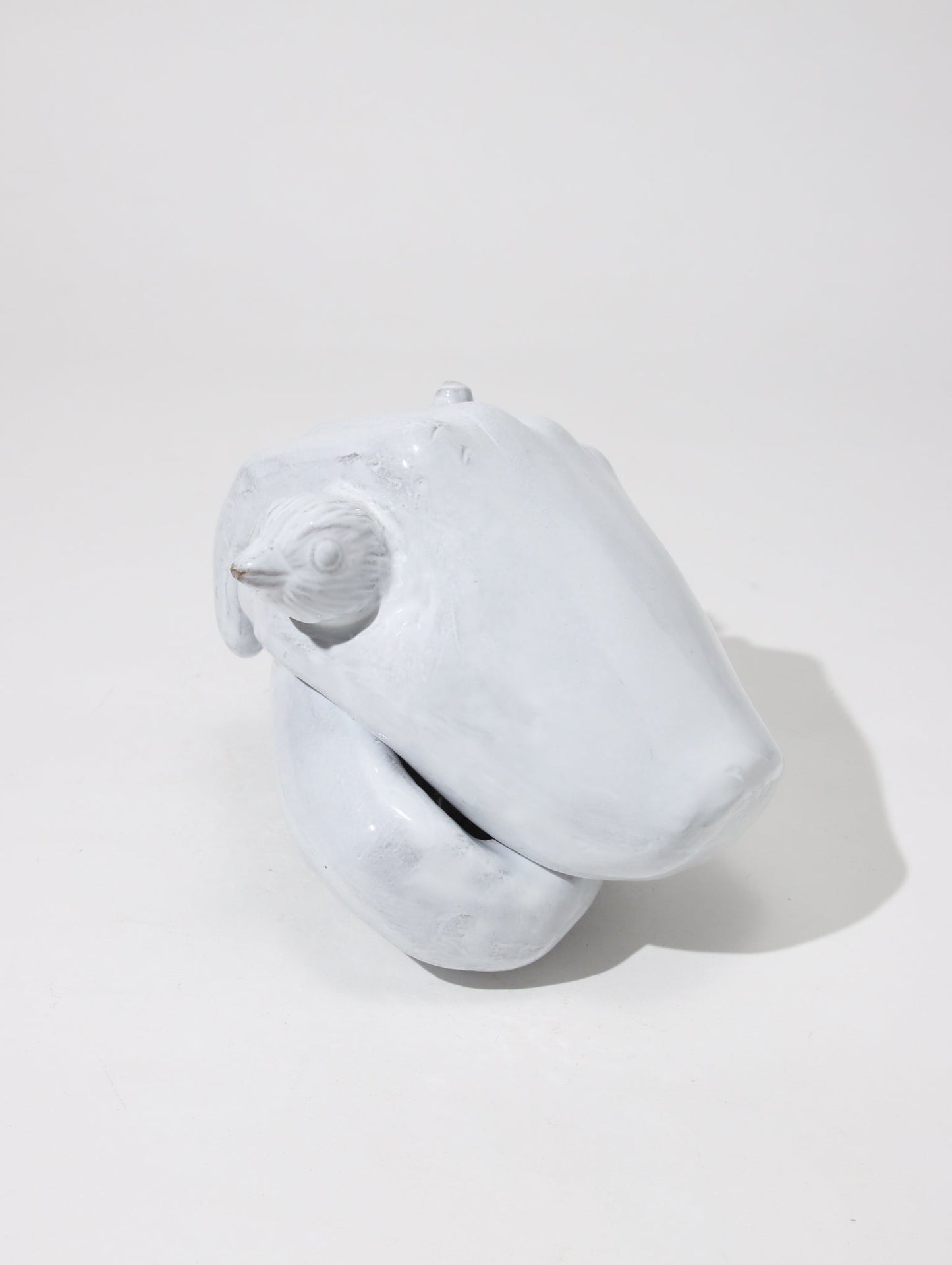 Serena white ring ボックス