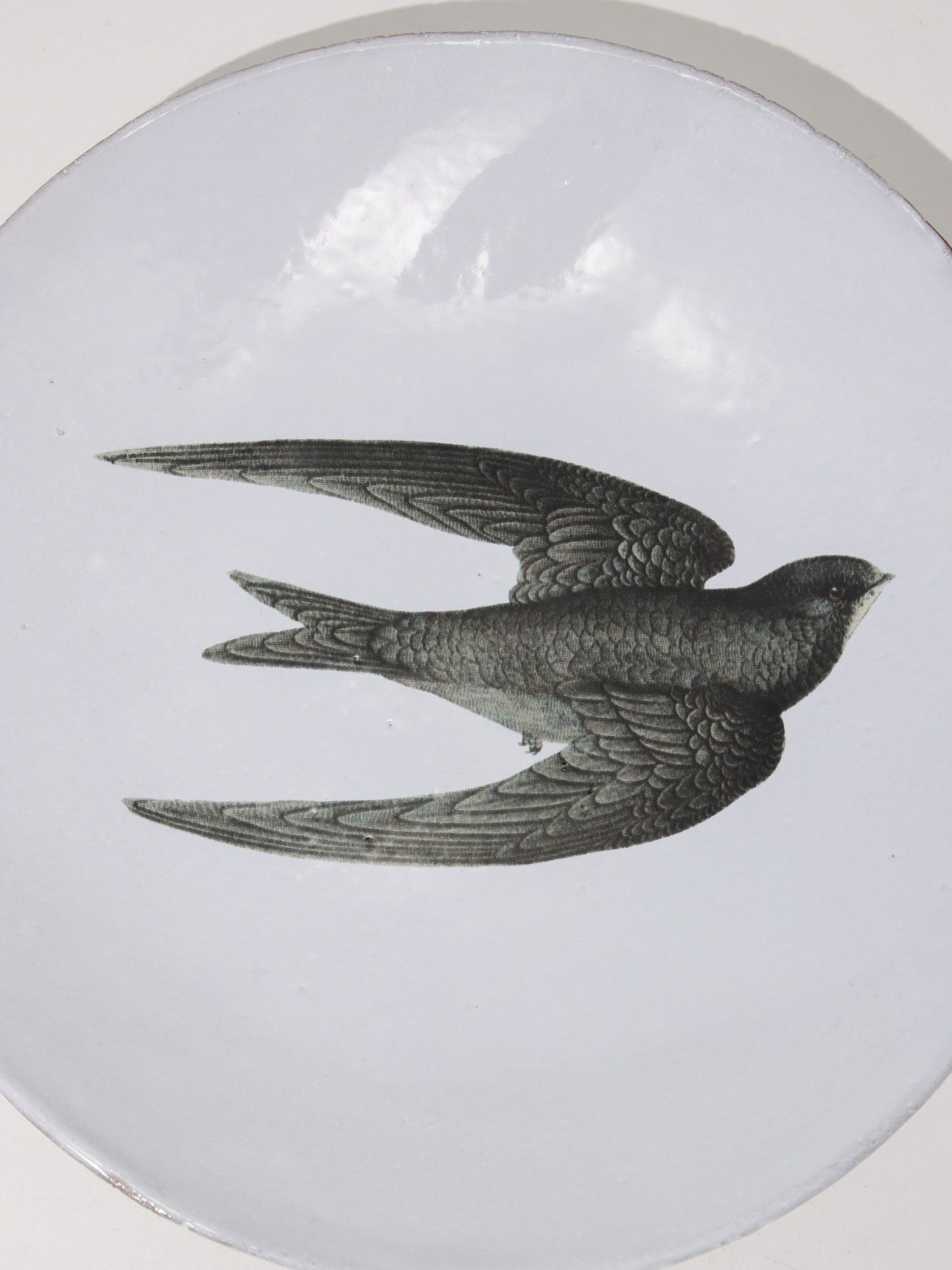 John Derian ツバメのディナープレート 19cm