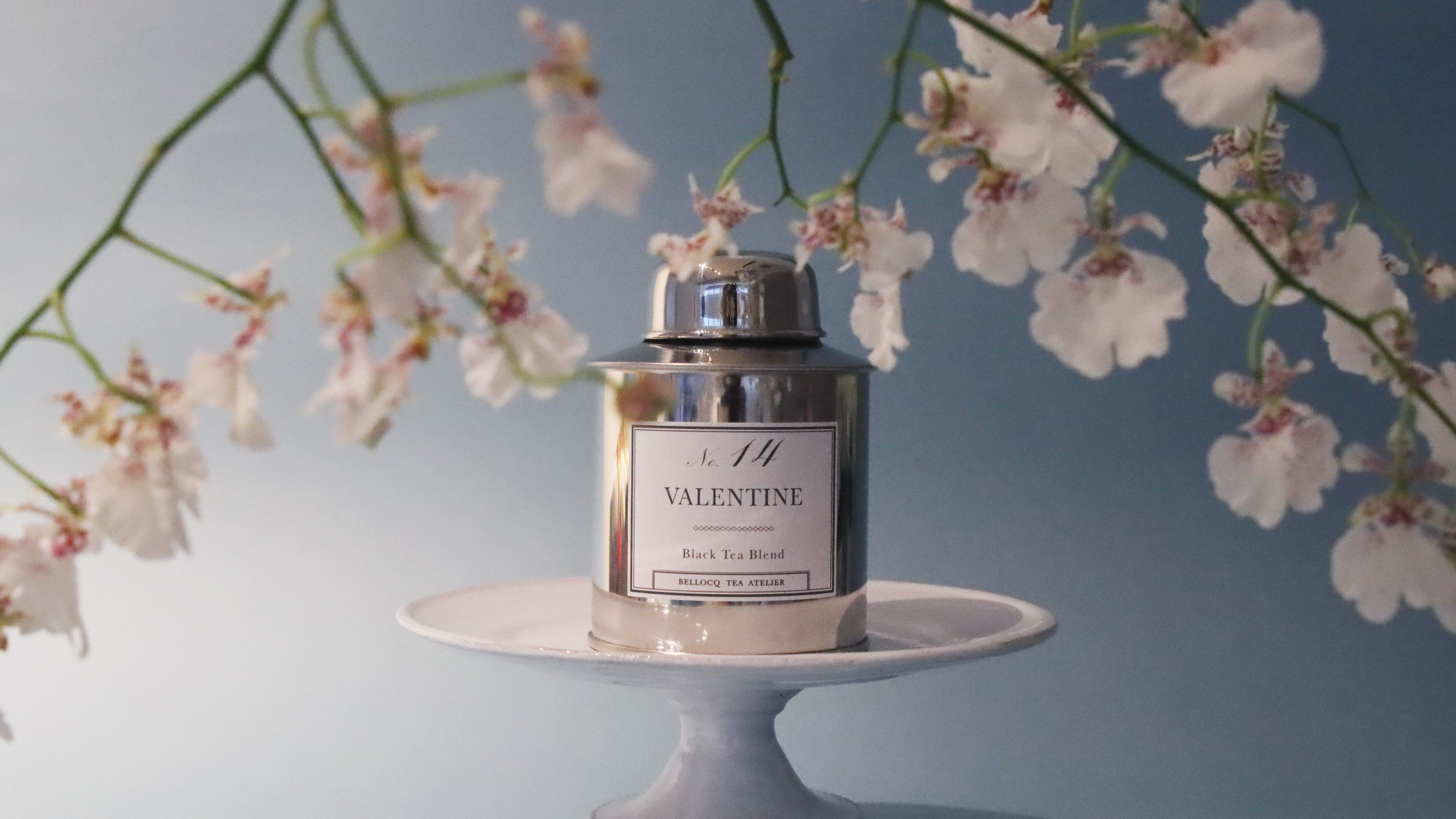 <p><span>BELLOCQ</span></p>