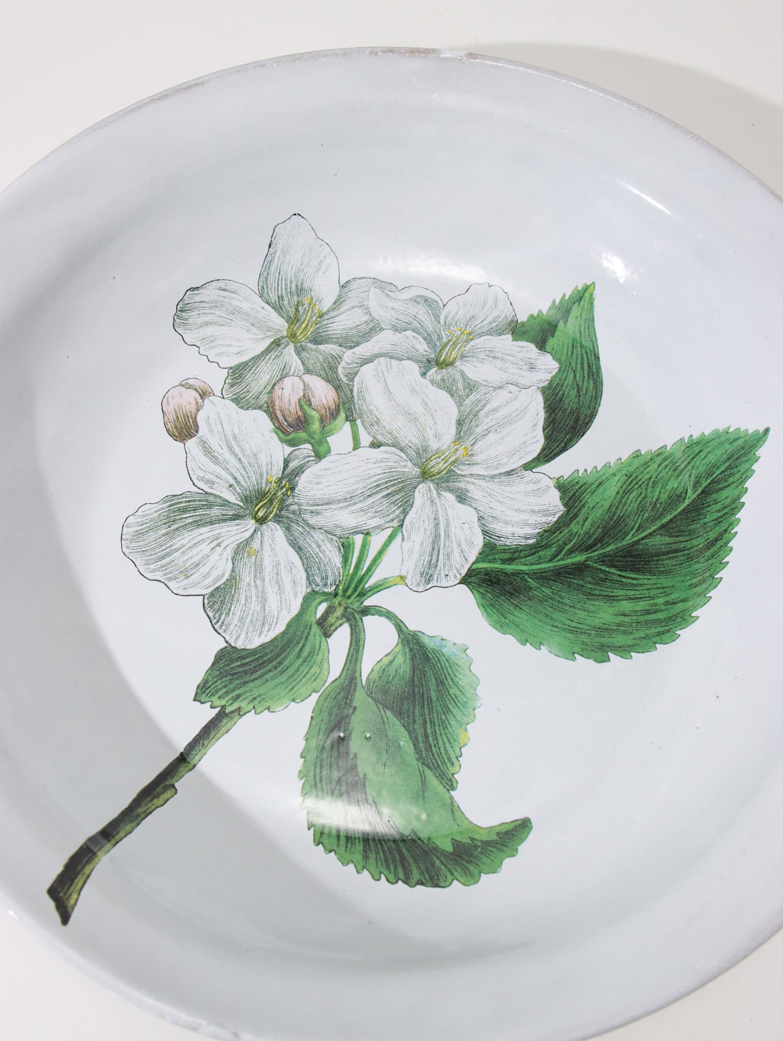 John Derian Paradise Apple Blossom プラッター 26.5cm