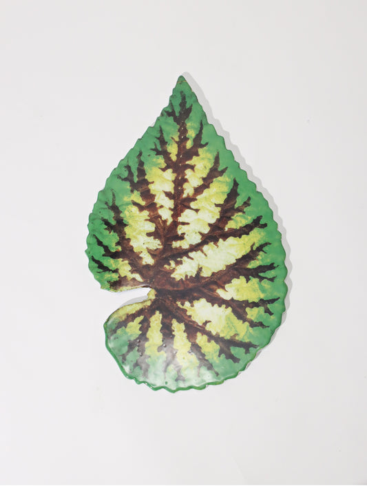 John Derian Leaf プラッター 28.5cm