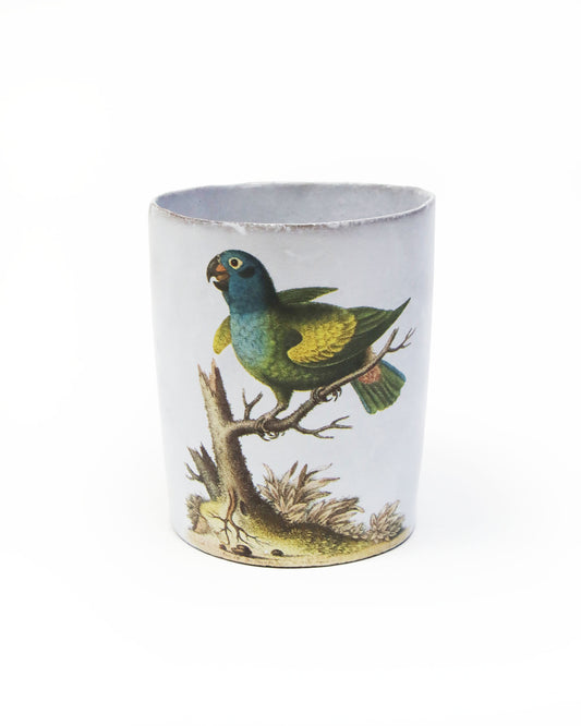 John Derian Parrot タンブラー