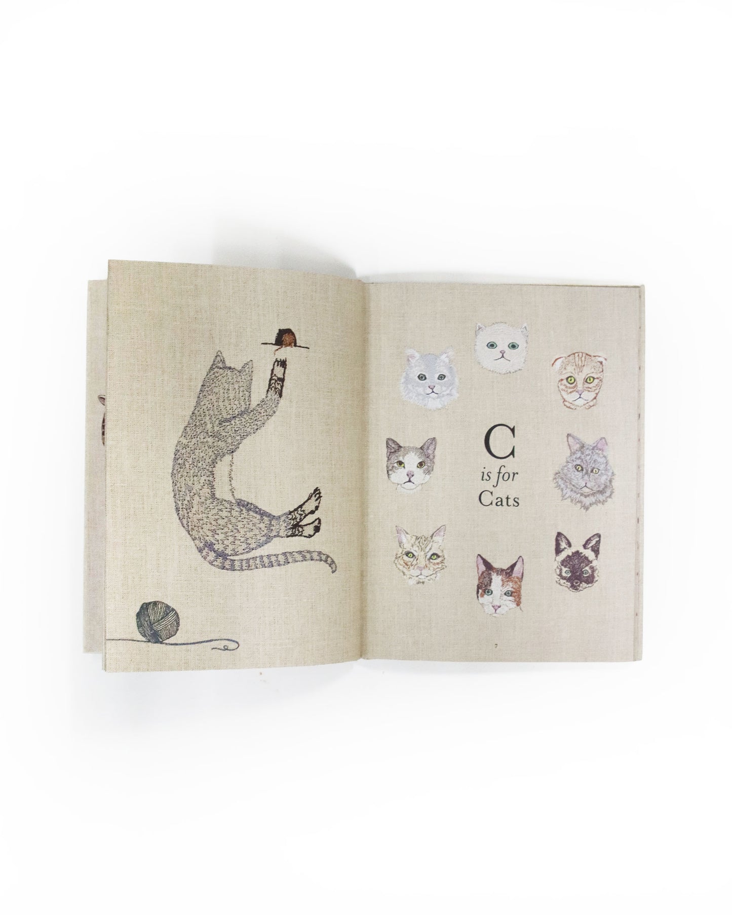 ブック「ABC : An Animal Alphabet Adventure」