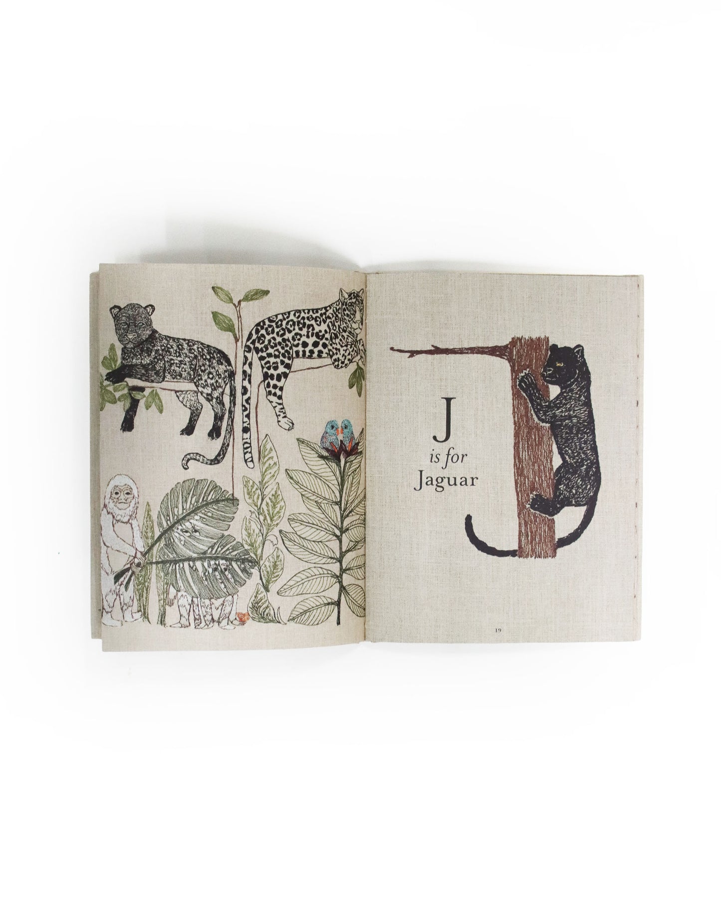 ブック「ABC : An Animal Alphabet Adventure」