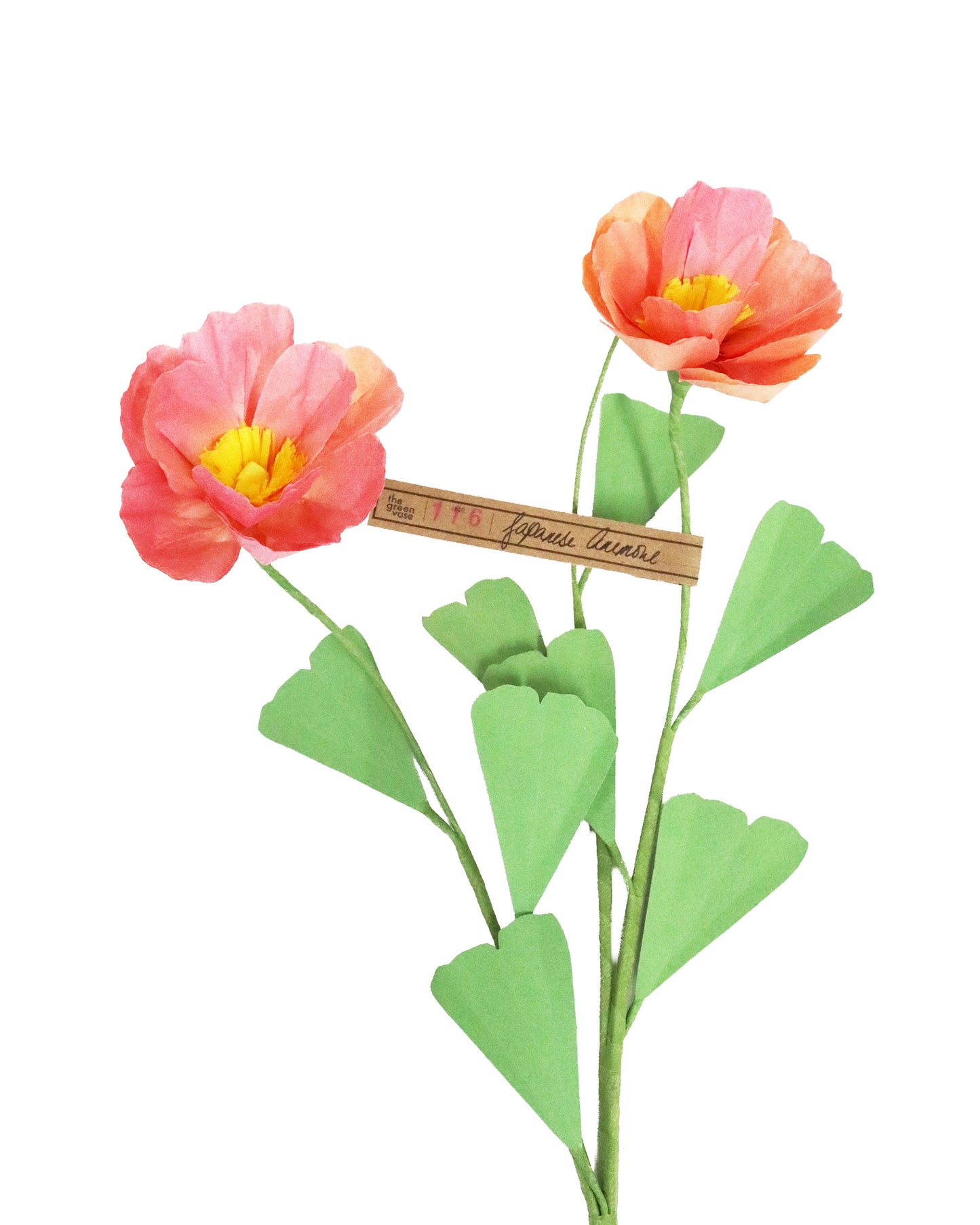 ペーパーフラワー Japanese Anemone double