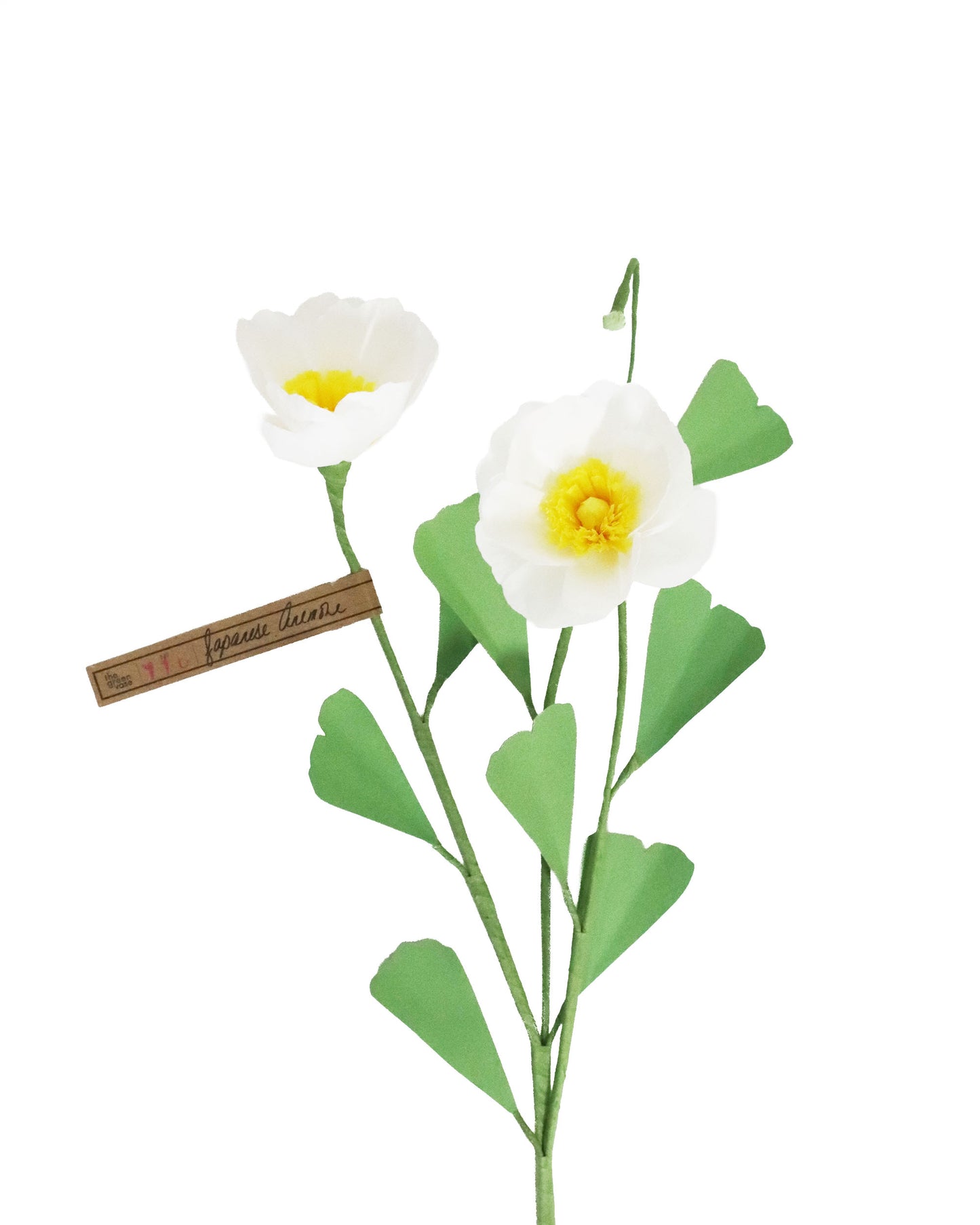ペーパーフラワー Japanese Anemone double