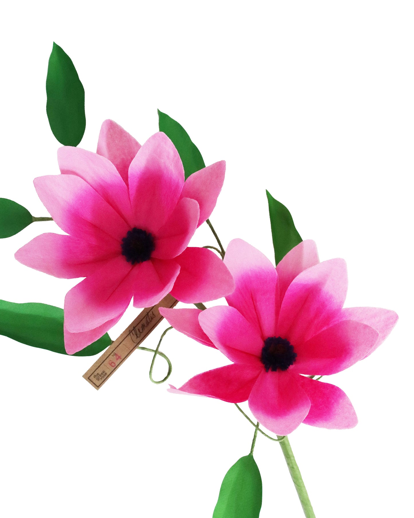 ペーパーフラワー Clematis