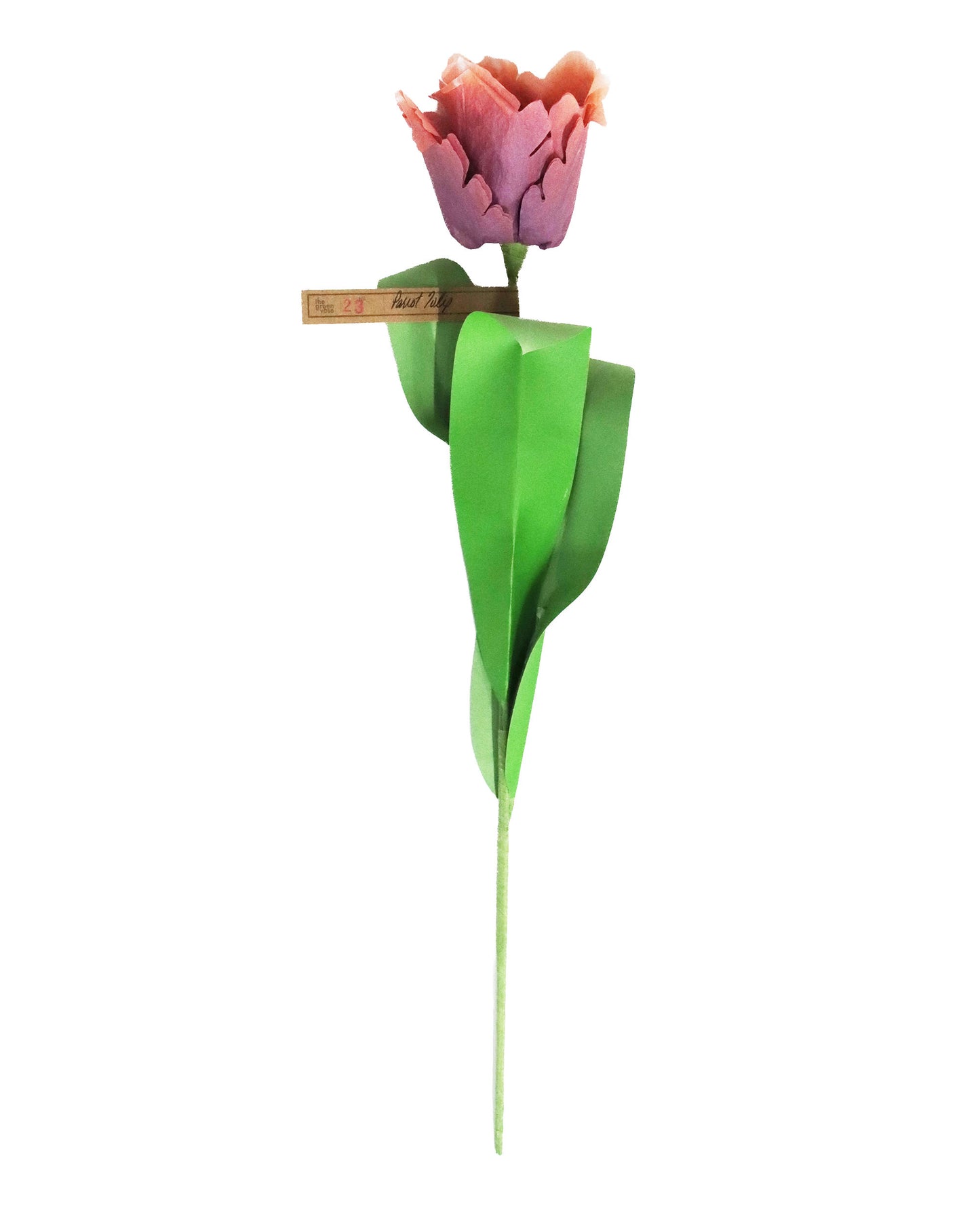 ペーパーフラワー Parrot Tulip
