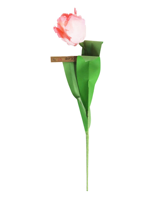 ペーパーフラワー Parrot Tulip