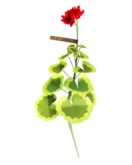 ペーパーフラワー Geramium