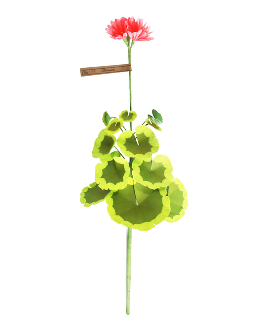 ペーパーフラワー Geramium