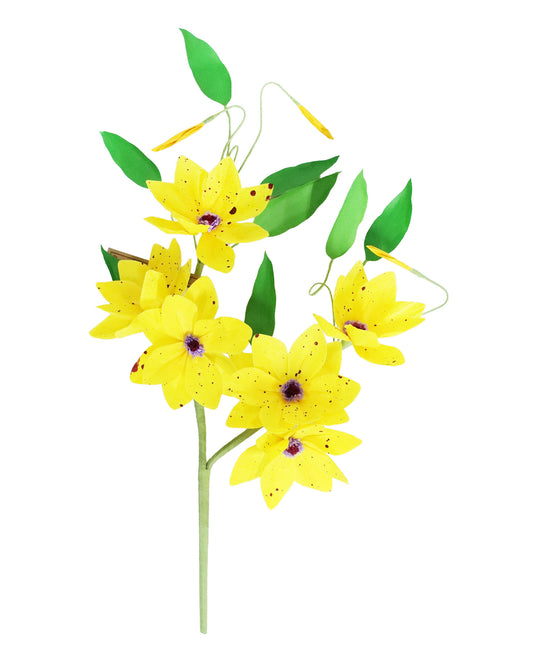 ペーパーフラワー Clematis