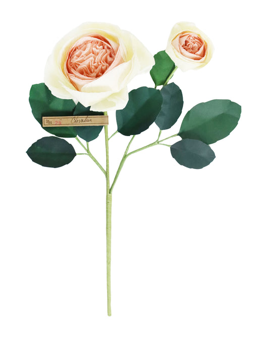 ペーパーフラワー Chevalier Rose