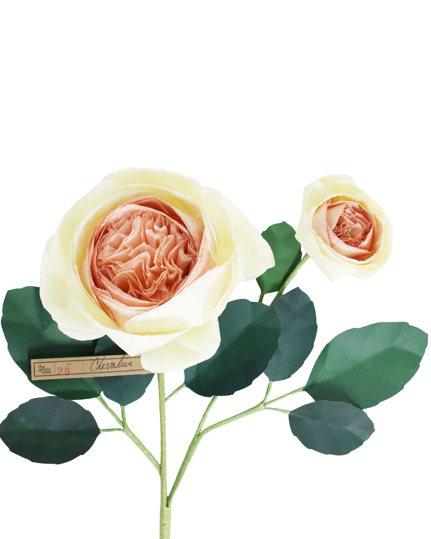 ペーパーフラワー Chevalier Rose