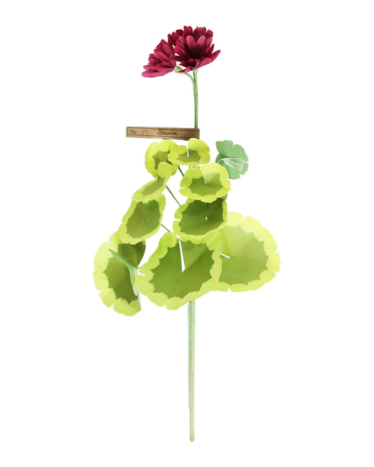 ペーパーフラワー Geramium