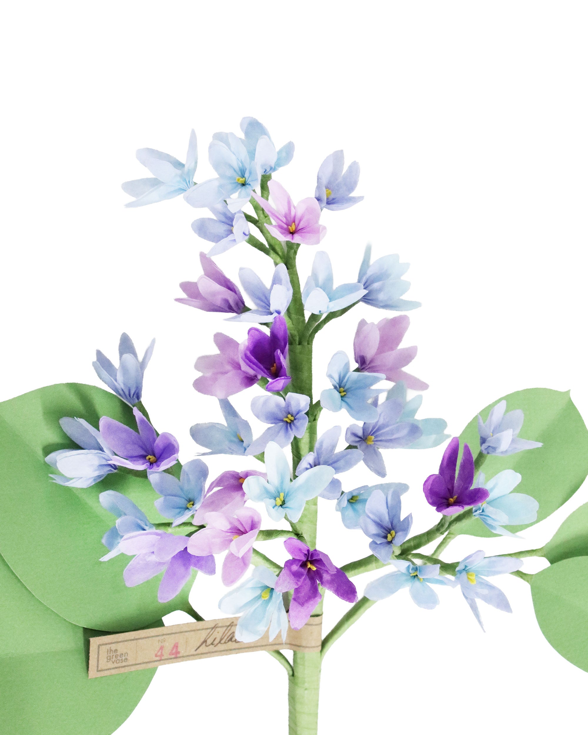 LIVIA CETTI【ペーパーフラワー】 ペーパーフラワー Lilac – ATELIER ONLINE