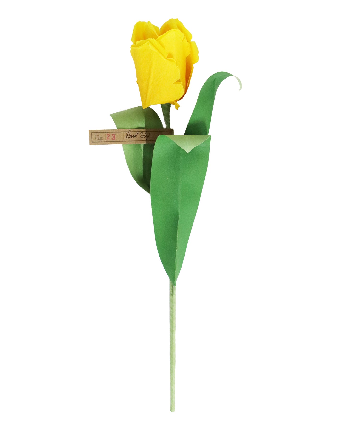 ペーパーフラワー Parrot Tulip