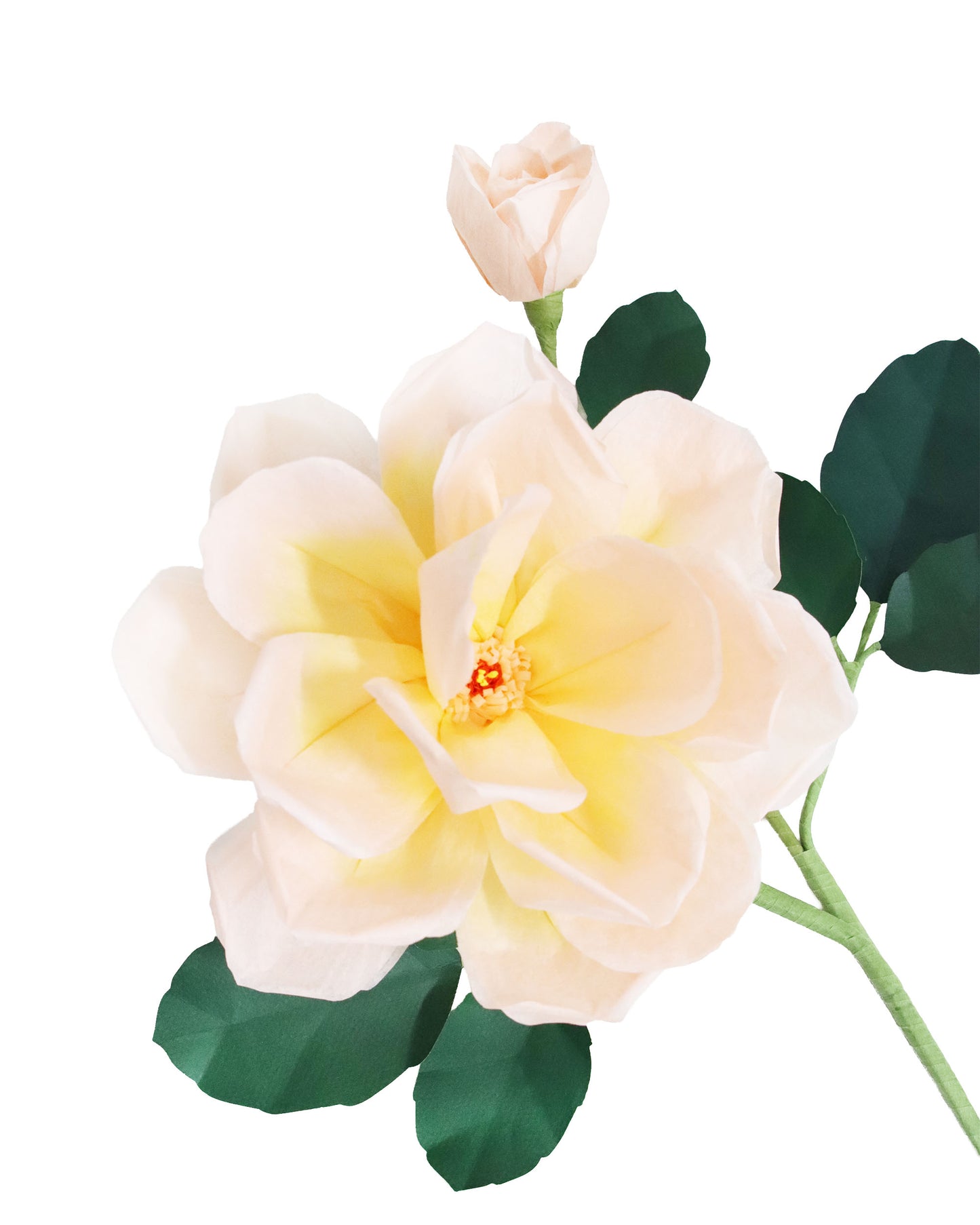 ペーパーフラワー Garden Rose