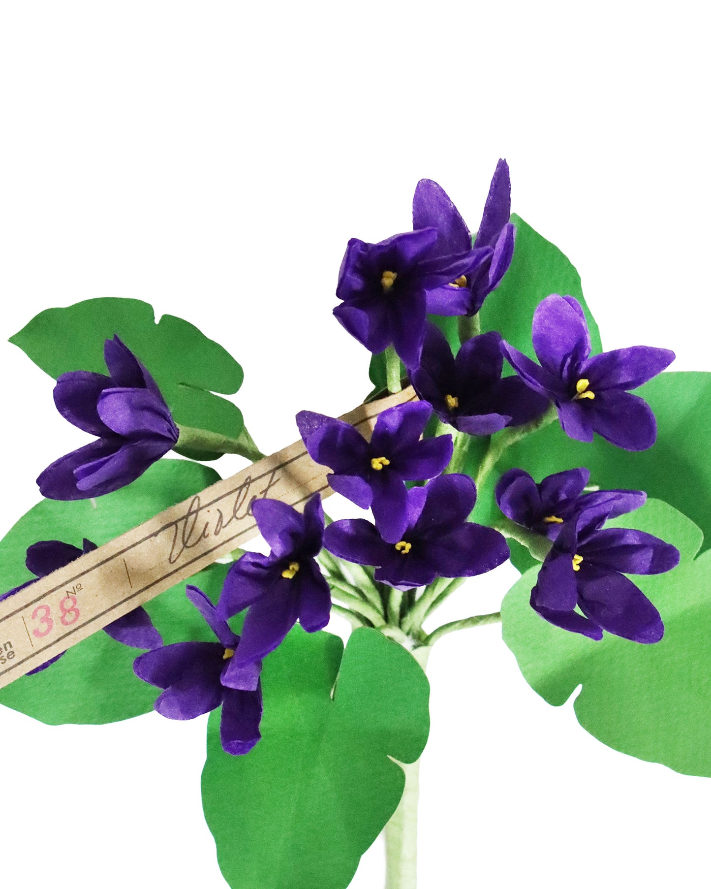 ペーパーフラワー Violet