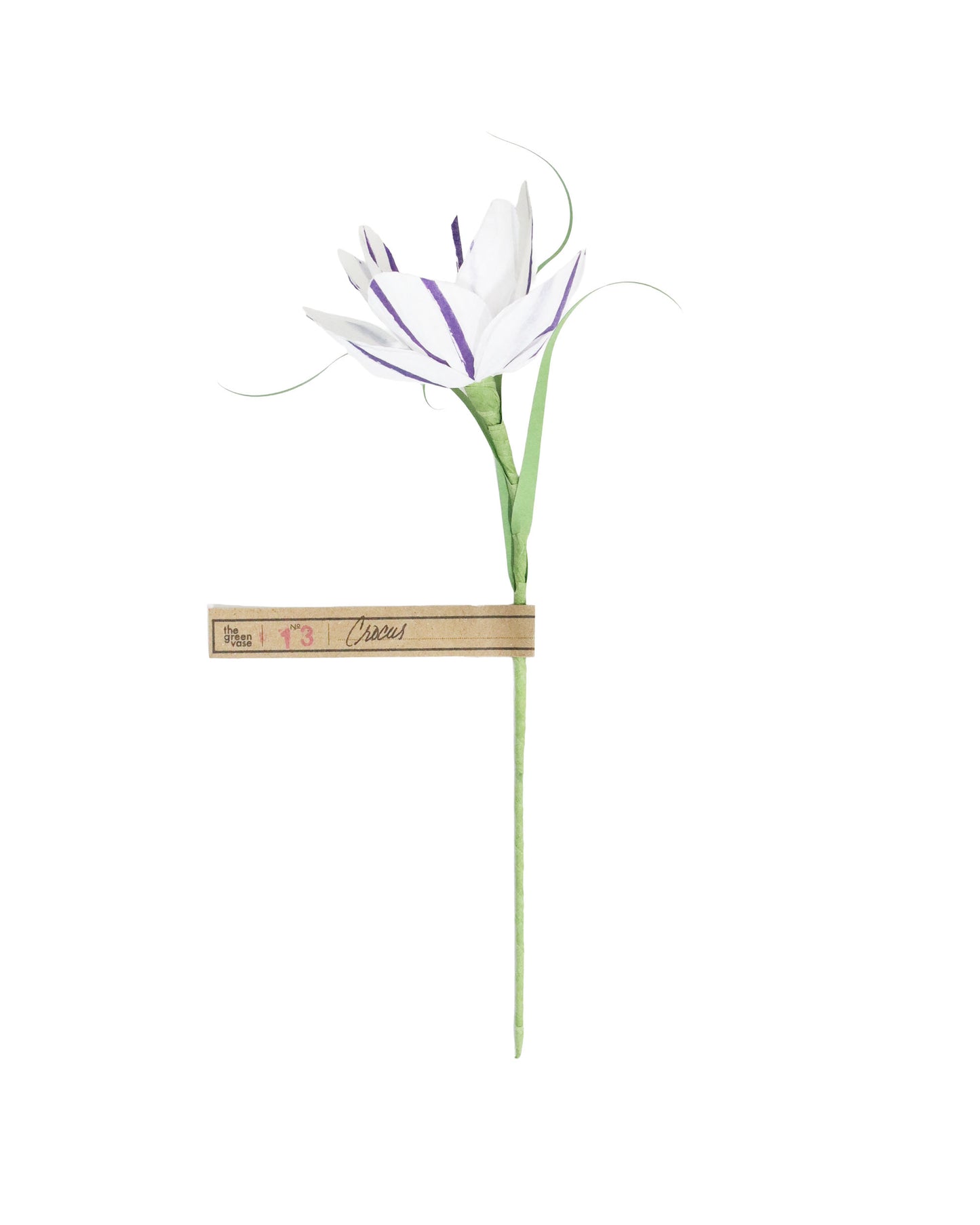 ペーパーフラワー Crocus
