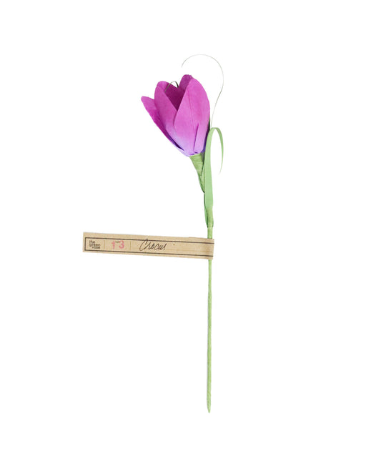 ペーパーフラワー Crocus