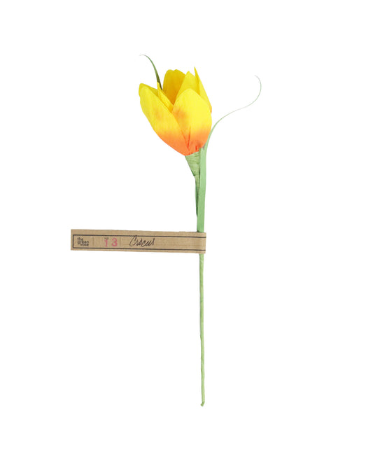 ペーパーフラワー Crocus