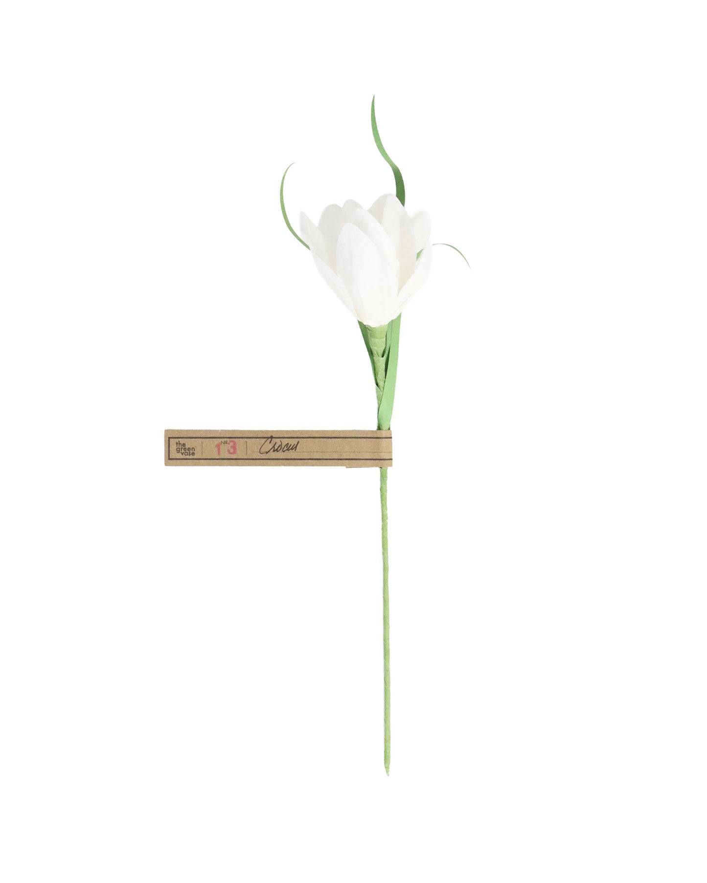 ペーパーフラワー Crocus