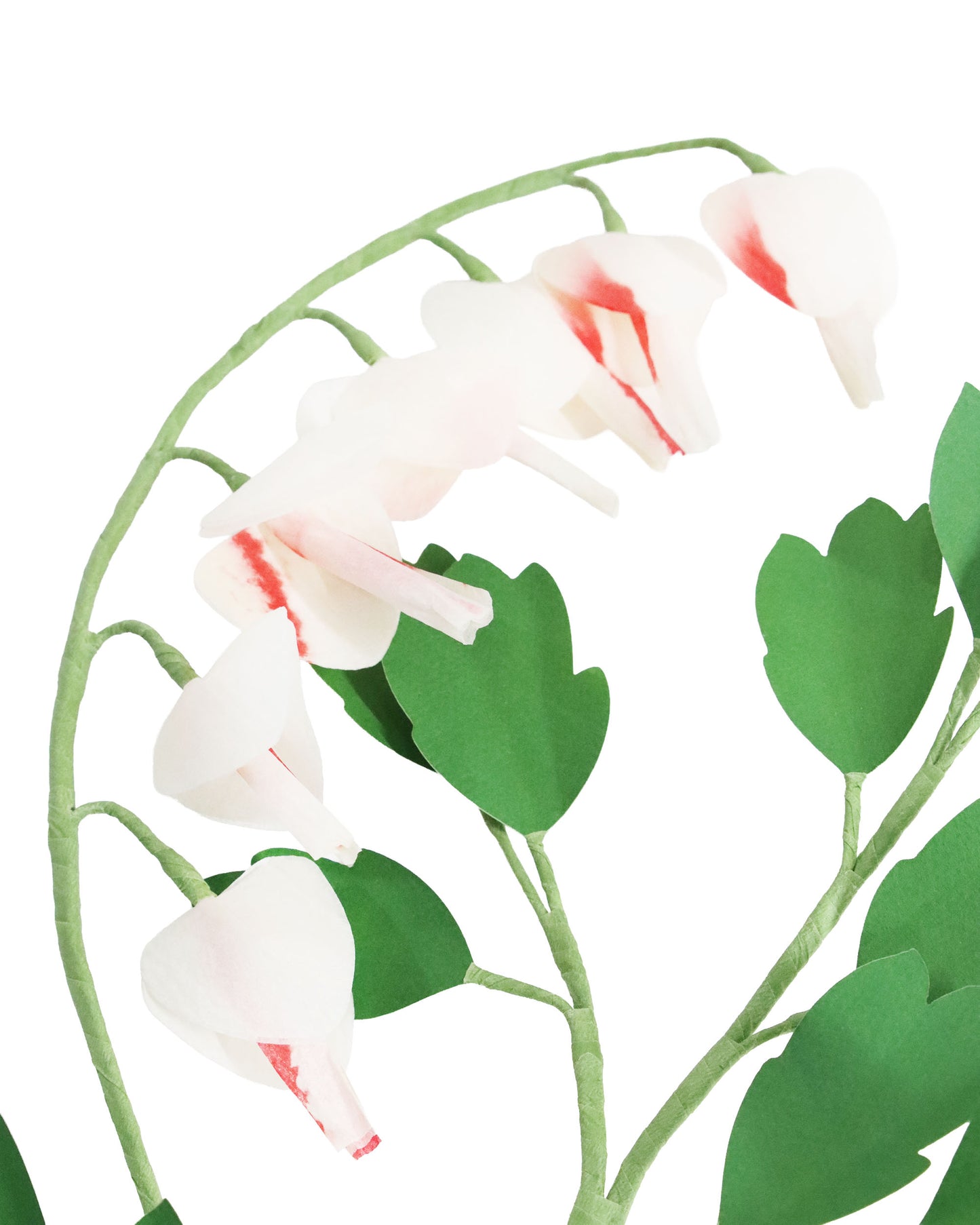 ペーパーフラワー Bleeding Heart