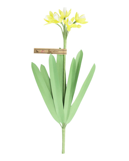 ペーパーフラワー Narcissus