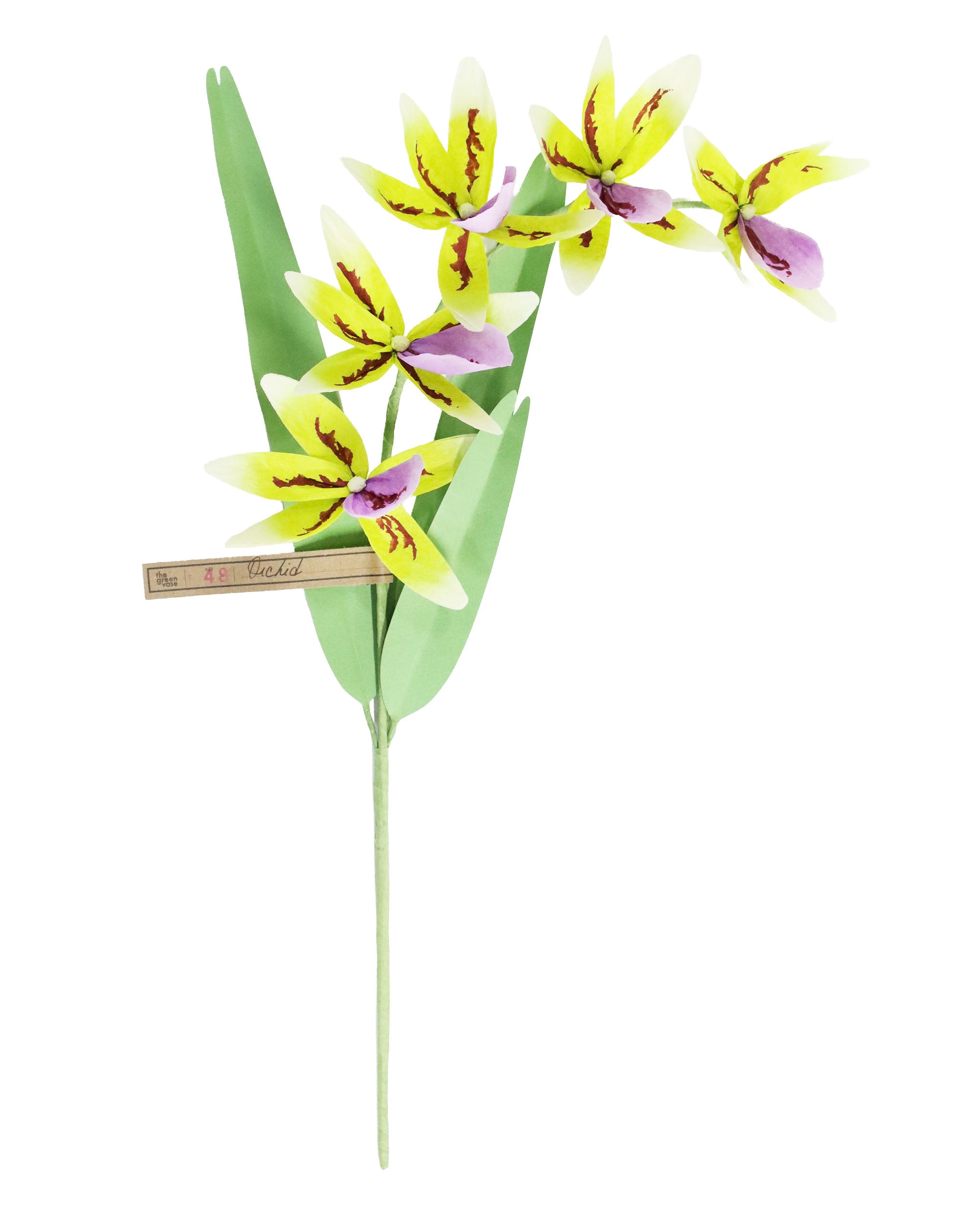 ペーパーフラワー Orchid