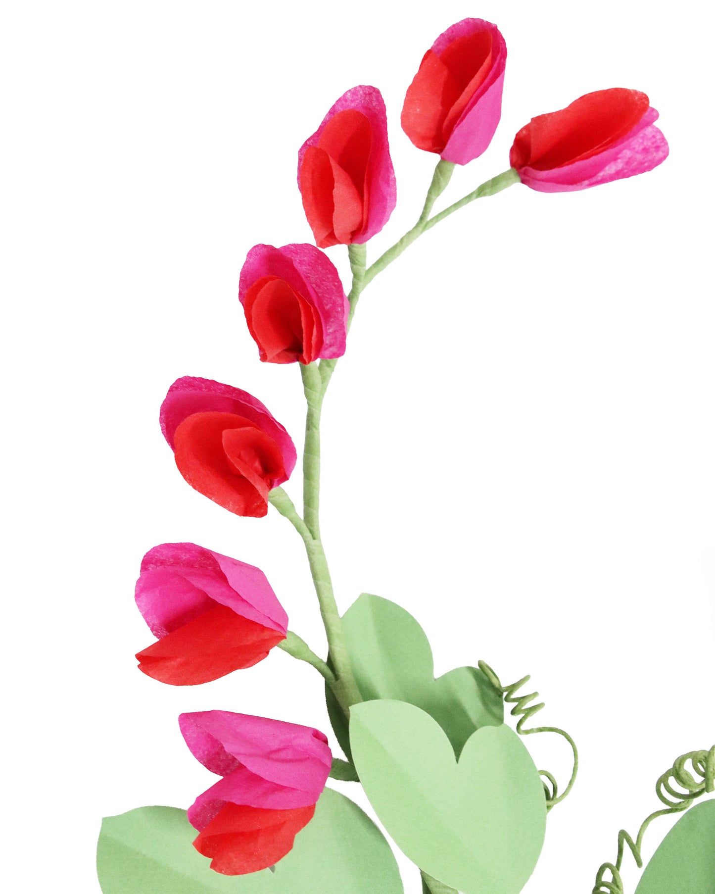 ペーパーフラワー Sweet Pea