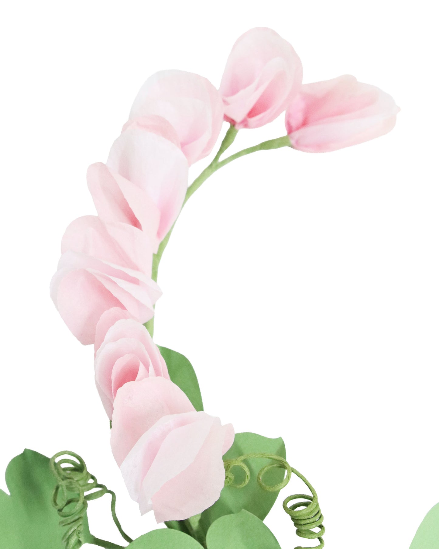 ペーパーフラワー Sweet Pea