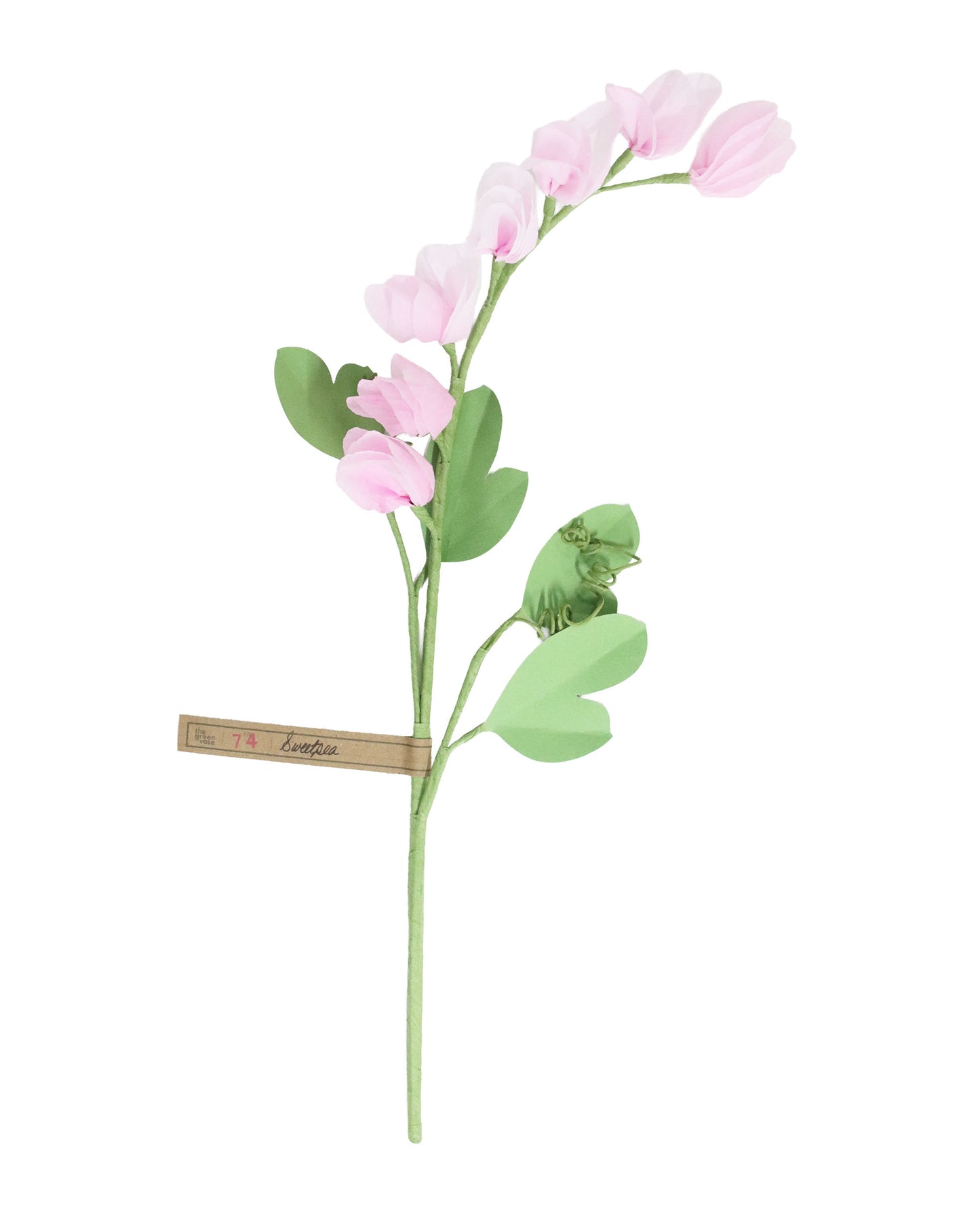 ペーパーフラワー Sweet Pea