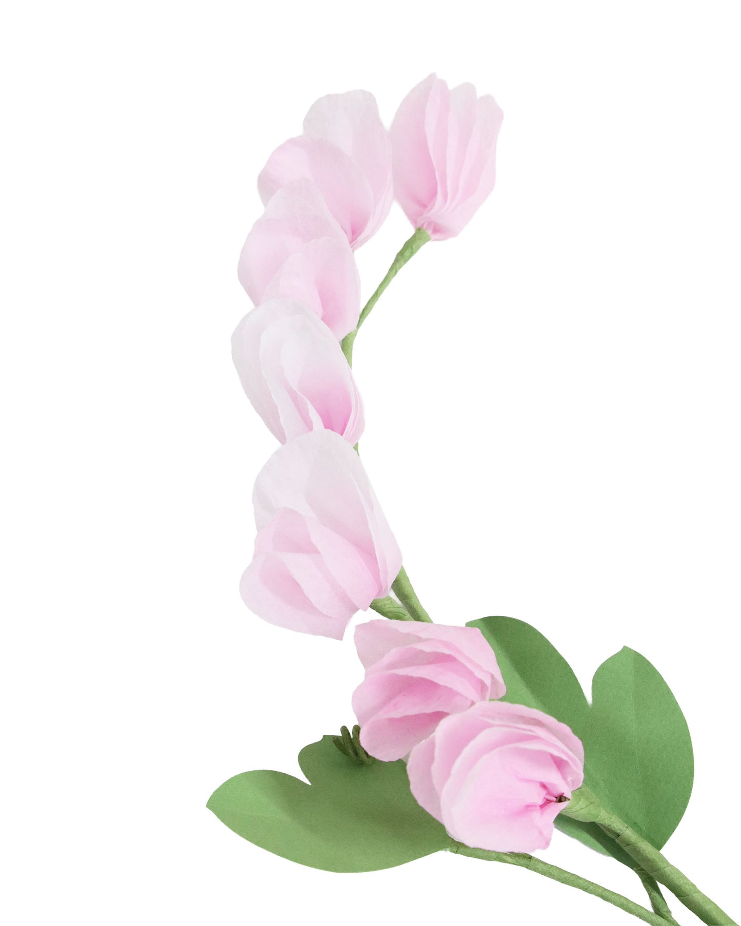 ペーパーフラワー Sweet Pea