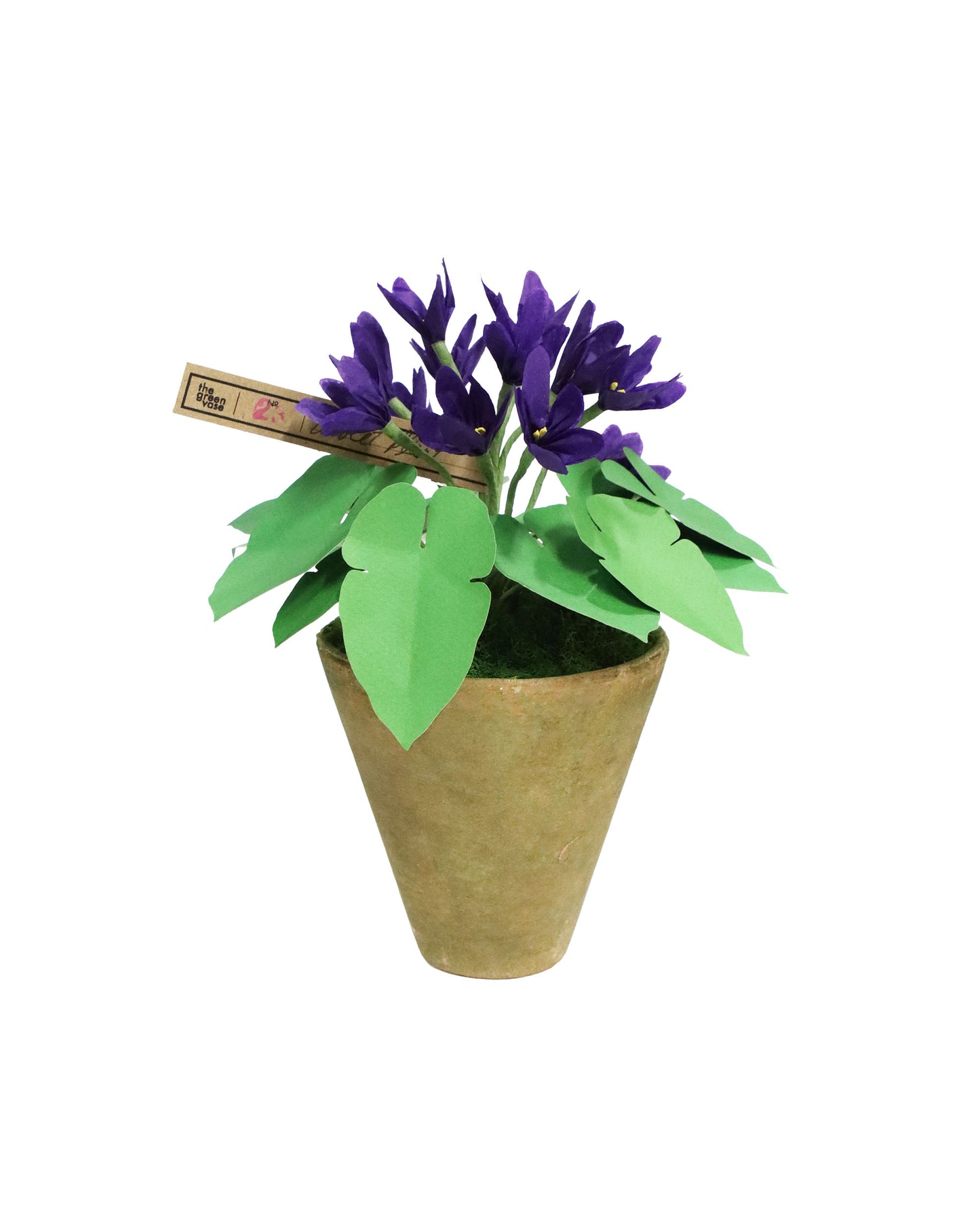 ペーパーフラワープラント Violet