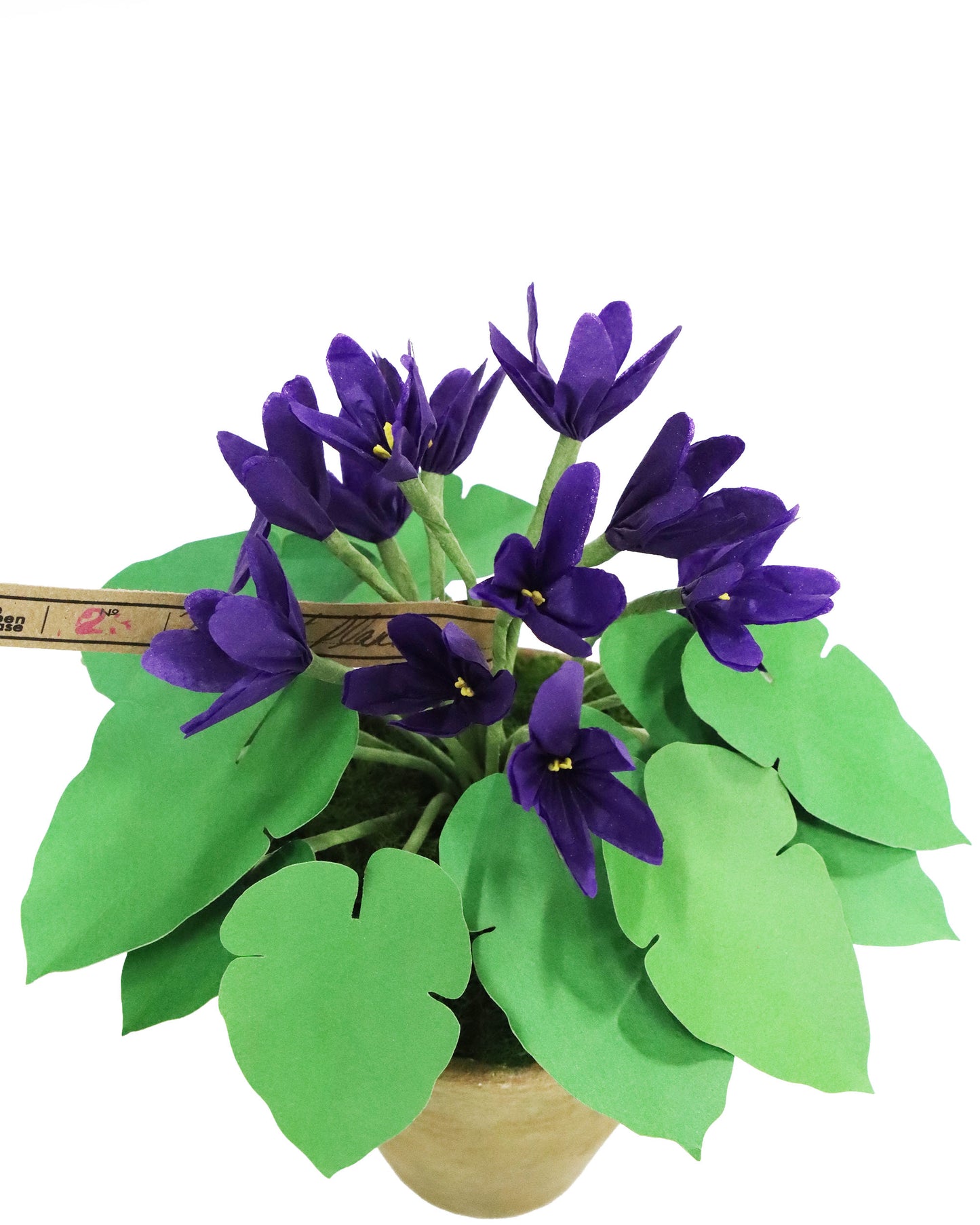 ペーパーフラワープラント Violet