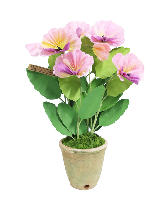 ペーパーフラワープラント Pansy