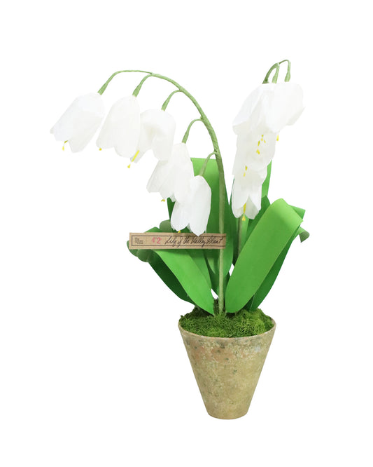 ペーパーフラワープラント Lily of the Valley
