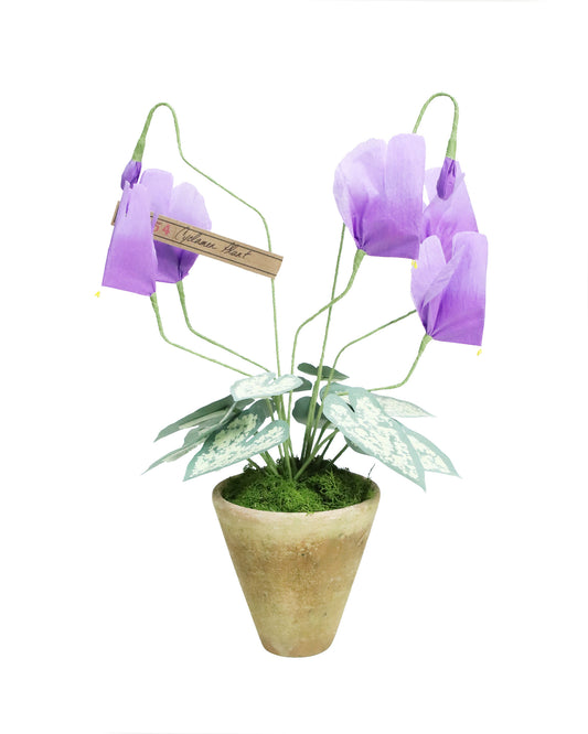 ペーパーフラワープラント Cyclamen
