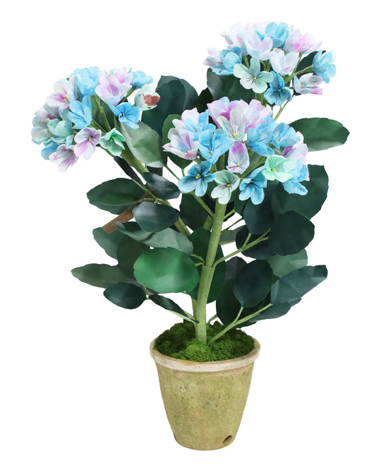 ペーパーフラワープラント Hydrangea