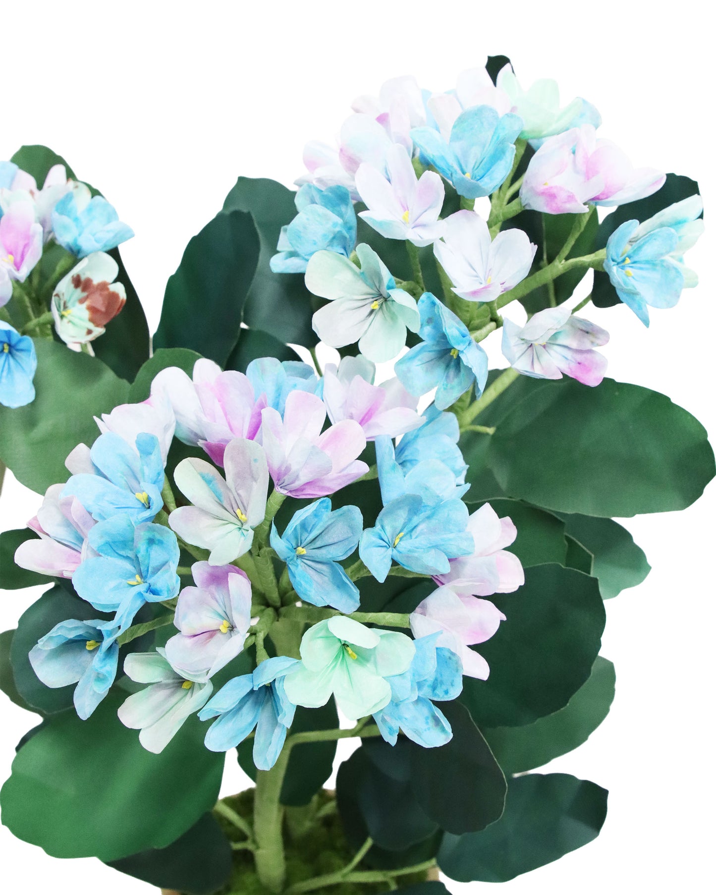 ペーパーフラワープラント Hydrangea