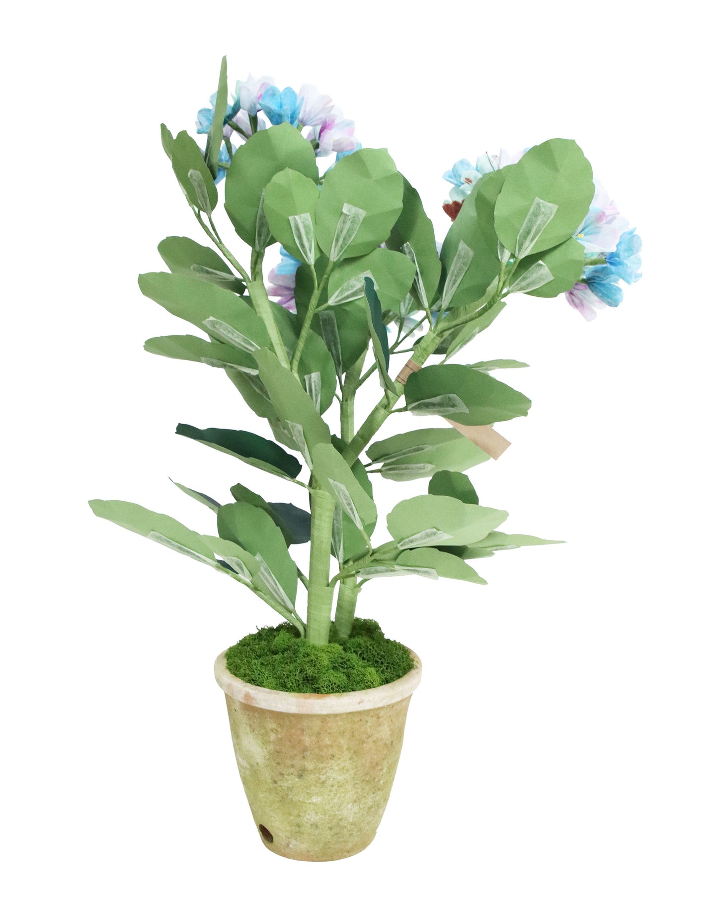 ペーパーフラワープラント Hydrangea