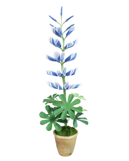 ペーパーフラワプラント Lupine