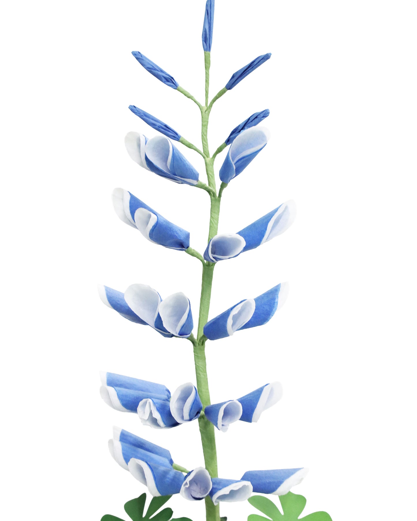 ペーパーフラワプラント Lupine